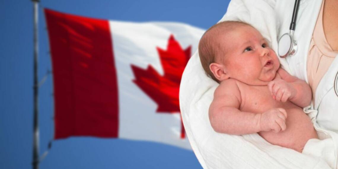 Canada birth rate