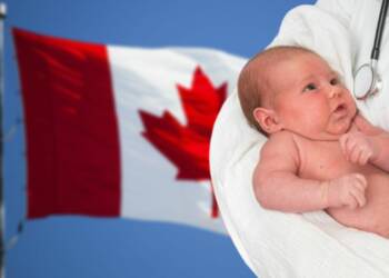 Canada birth rate