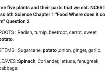 five plants and their parts that we eat