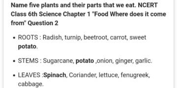 five plants and their parts that we eat