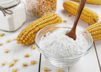 The food synthesised by plants is stored as