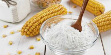 The food synthesised by plants is stored as