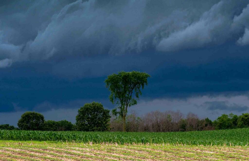 Why does India have a monsoon type of climate?