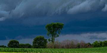 Why does India have a monsoon type of climate?