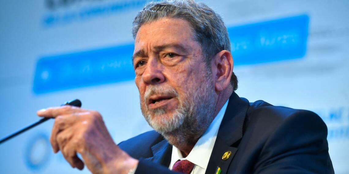 With CELAC in-hand, Saint Vincent and the Grenadines has a Chance to Shine in the Caribbean
