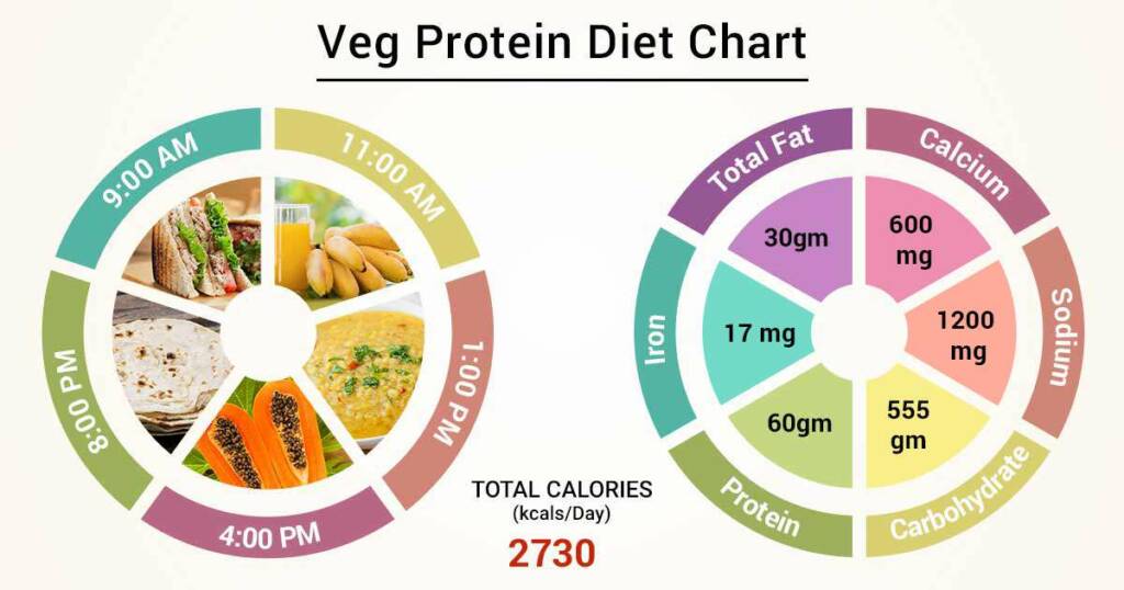 Plants Based protein sources for vegetarians