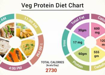 Plants Based protein sources for vegetarians