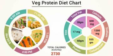 Plants Based protein sources for vegetarians