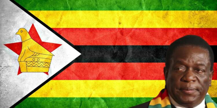 Zimbabwe: Mnangagwa's 'in-house' cleaning corners west NGOs