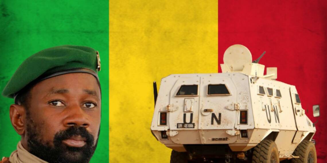 Mali human rights chief