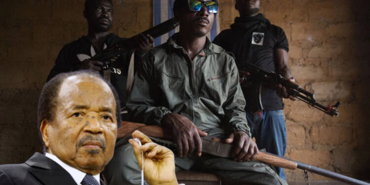 The Inside Story Of Cameroon's Anglophone Crisis - TFIGlobal