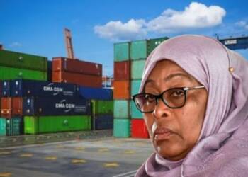 Tanzania bans food exports