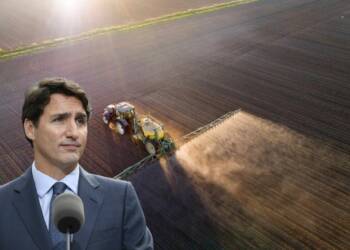 Trudeau’s aggressive green agenda is harming Canada’s agriculture