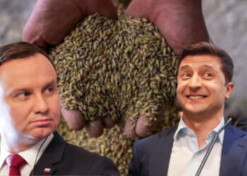 Ukraine floods Poland with rotten foodgrains