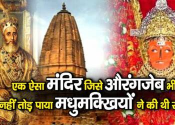 Jeen Mata Mandir Sikar Devi Maa IDOL