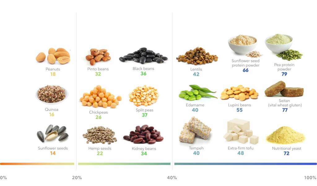 Plants Based protein sources for vegetarians