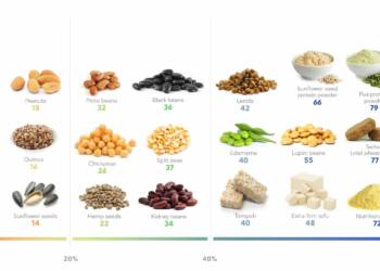 Plants Based protein sources for vegetarians