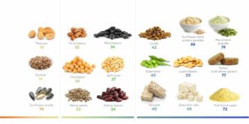 Plants Based protein sources for vegetarians