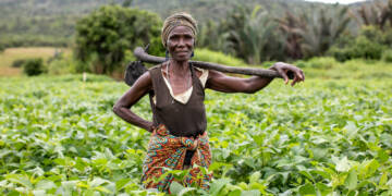 Caribbean Food import bill