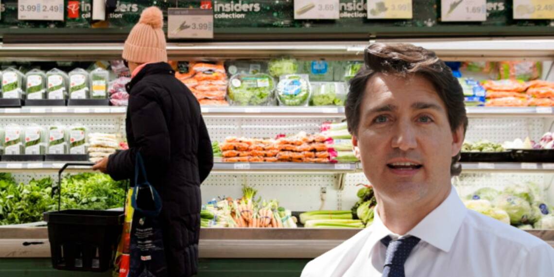 Ethics commissioner of Canada hits Trudeau where it hurts the most