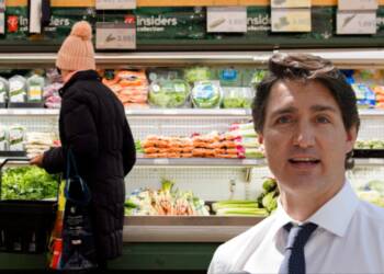 Ethics commissioner of Canada hits Trudeau where it hurts the most