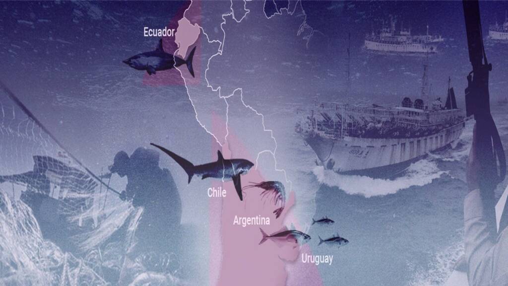 fishing industry Latin American
