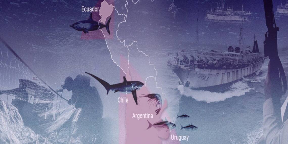 fishing industry Latin American