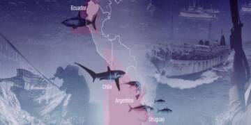 fishing industry Latin American