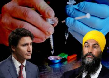 ‘Legalising substance abuse’ is no solution, NDP’s Jagmeet Singh needs to sober up