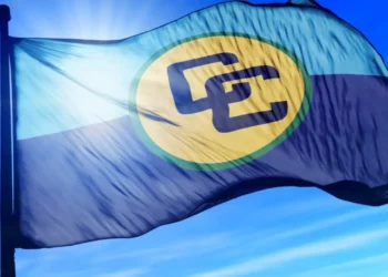 The Road Ahead: Priorities and Opportunities for CARICOM   