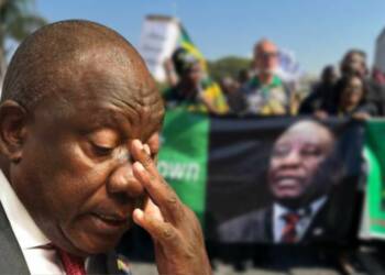 Untraceable funds: The mystery of Ramaphosa’s buffalo