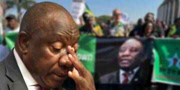 Untraceable funds: The mystery of Ramaphosa’s buffalo