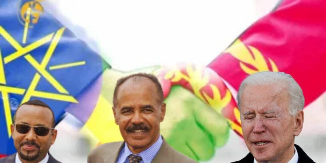 Ethiopia and Eritrea to US: ‘Mind Your Own Business
