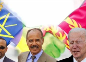Ethiopia and Eritrea to US: ‘Mind Your Own Business