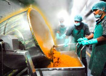 Mega Kitchens of India