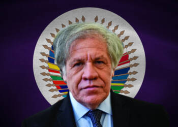 OAS sponsored its chief’s sexcapade