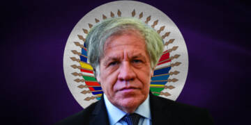 OAS sponsored its chief’s sexcapade