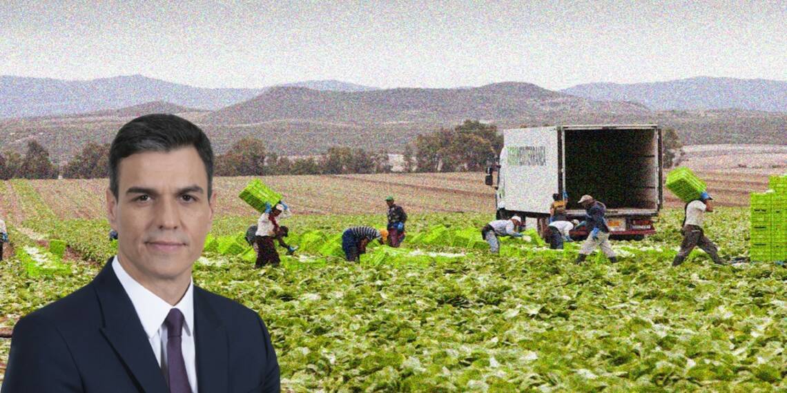 Spain’s seasonal workers program is exploitation in disguise