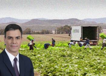 Spain’s seasonal workers program is exploitation in disguise