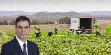 Spain’s seasonal workers program is exploitation in disguise