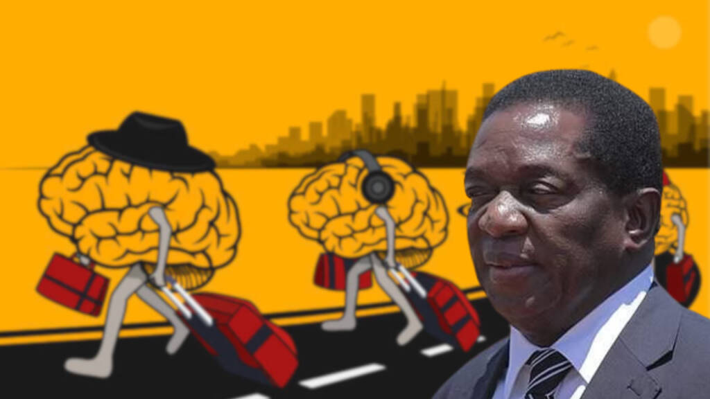 Zimbabwe to criminalize foreign recruitment