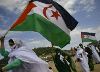 Iran, Russia, Israel, UAE, US and the anti-government Polisario movement