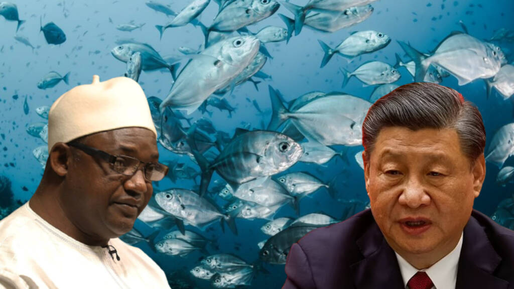 Gambia China
