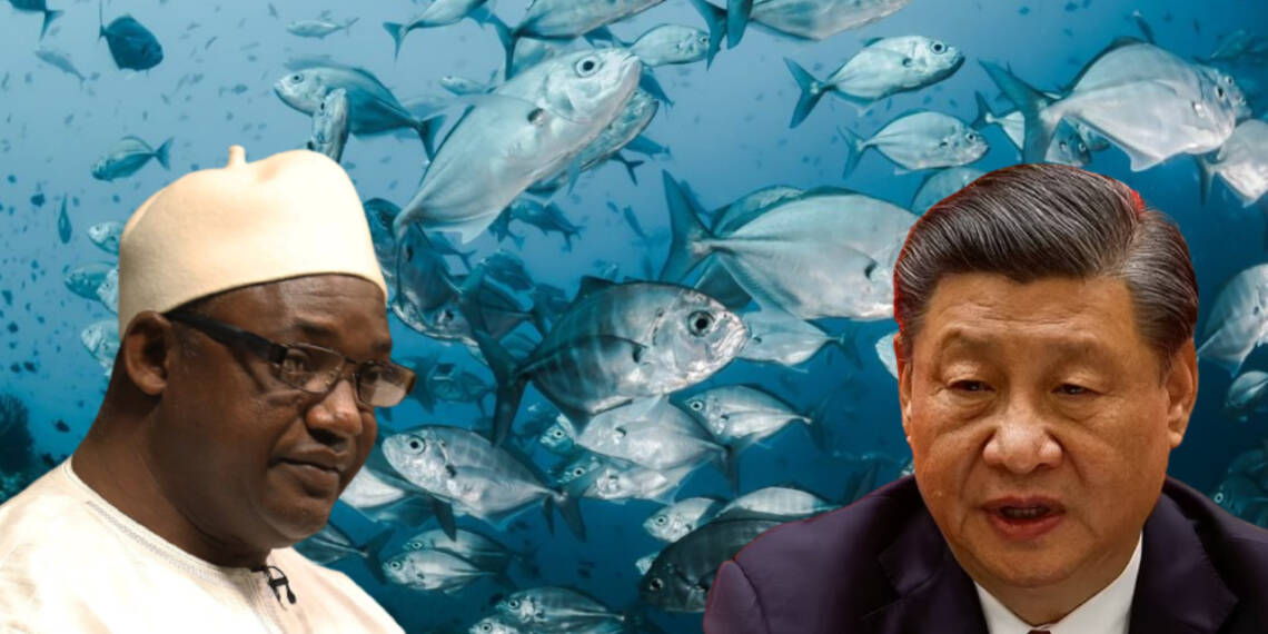 Gambia China