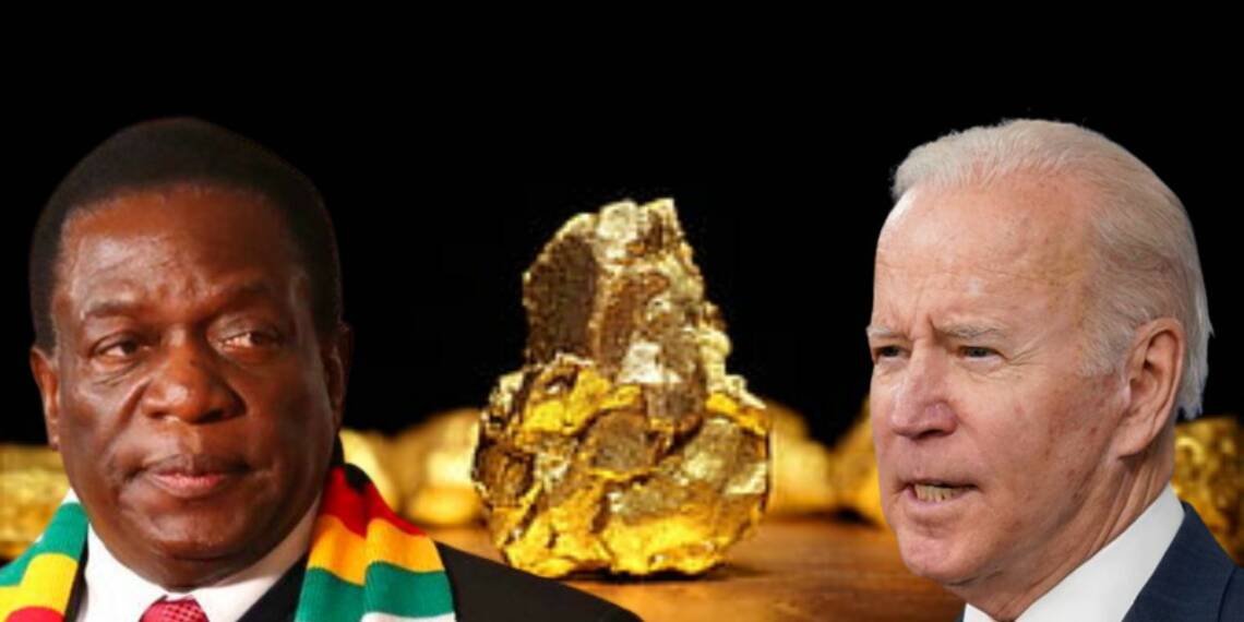 The west is killing the credibility Mnangagwa to ensure that their pet parrot becomes the next Zimbabwean President