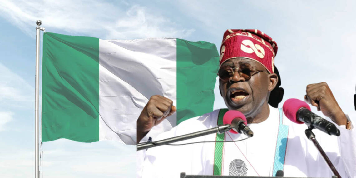 Our prediction is now a reality- Yes Bola Tinubu is an American parrot
