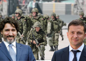 Canadian soldiers who went to fight for Ukraine have declared bankruptcy