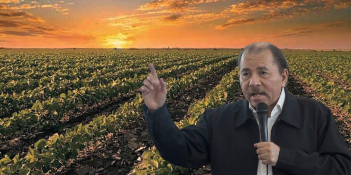 What Africa and some parts of Latin America can learn from Nicaragua