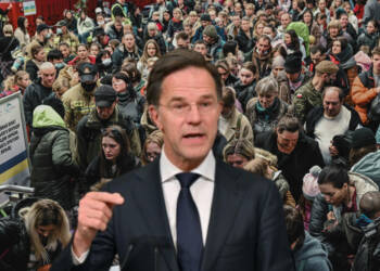 Netherlands Ukrainian migrants