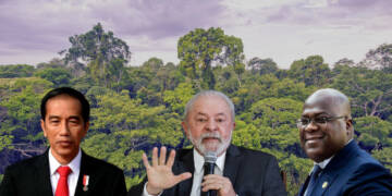 Lula da Silva’s OPEC for rainforests is a game-changer